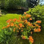 Bed and breakfast Am Lindenbaum Sebnitz