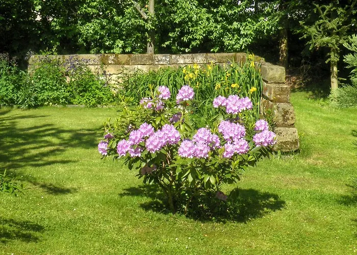 Am Lindenbaum Bed & Breakfast 3*