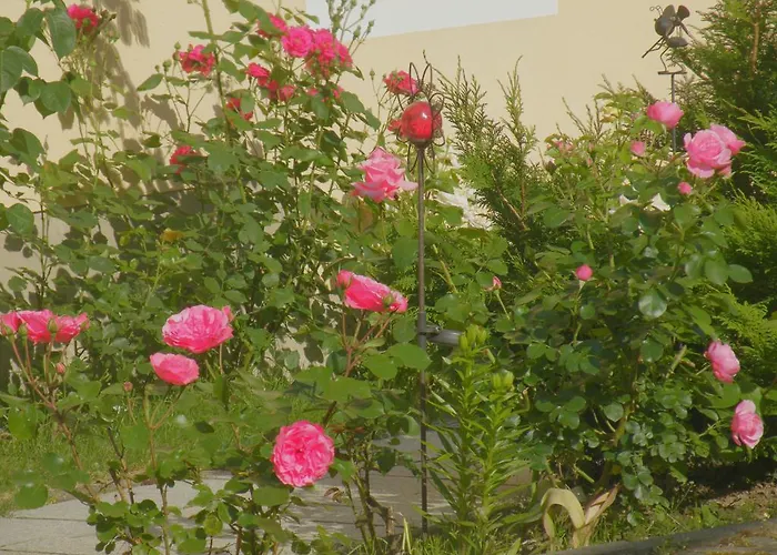 Am Lindenbaum Bed & Breakfast