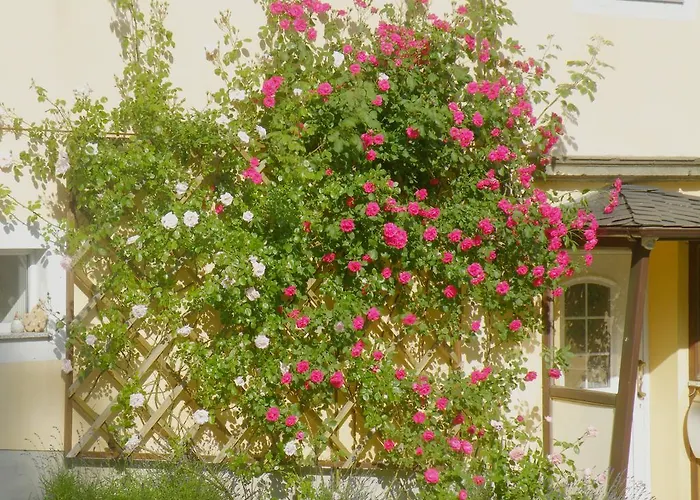 Am Lindenbaum Bed & Breakfast 3*